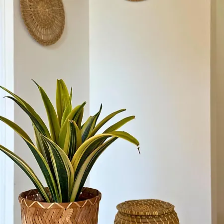 Signature - Hyper Centre - Clim - Wifi 닥스