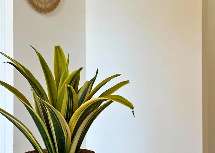 Signature - Hyper Centre - Clim - Wifi Dax